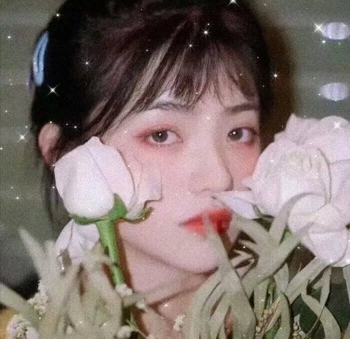 营救夜莺海报